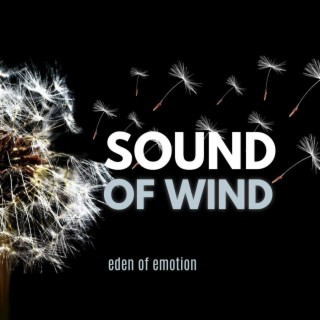 Sound of Wind