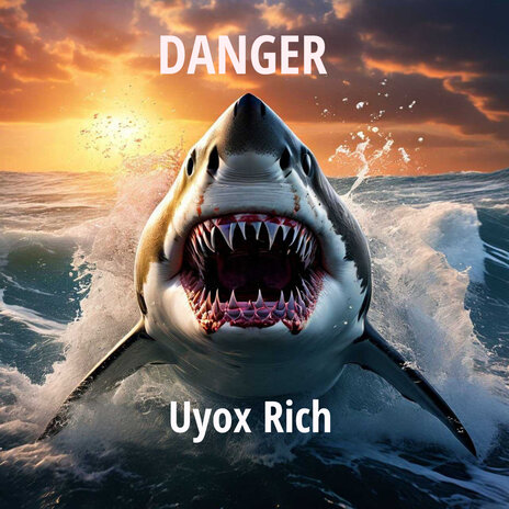 Danger | Boomplay Music