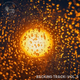 Backing Track:, Vol. 5