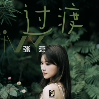 过渡 lyrics | Boomplay Music