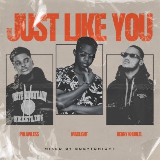 Just Like You ft. Denny Khurlel & Phlawless lyrics | Boomplay Music