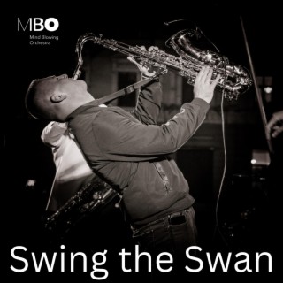 Swing the Swan