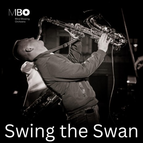 Swing the Swan | Boomplay Music