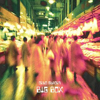 Big Box lyrics | Boomplay Music