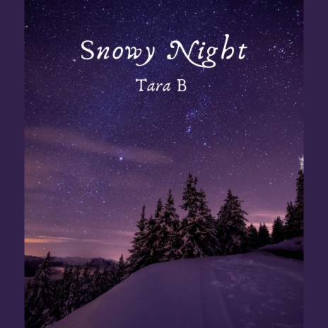 Snowy Night | Boomplay Music