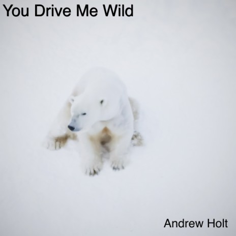 You Drive Me Wild (Original Mix) | Boomplay Music