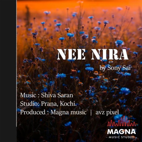 Nee Nira | Boomplay Music