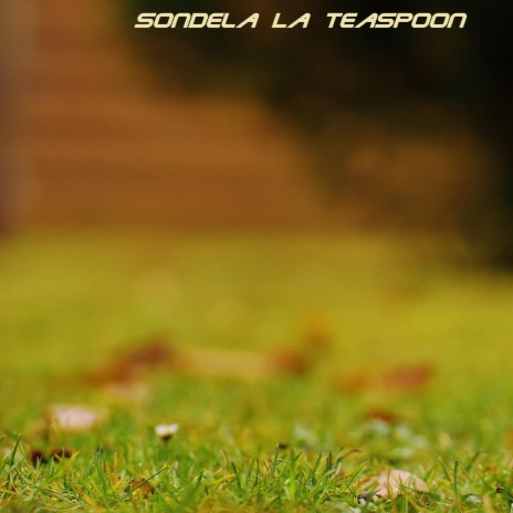 Sondela La Teaspoon | Boomplay Music