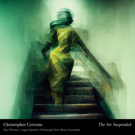 The Air Suspended: I. From Ground to Cloud ft. Patrick Swoboda & Argus Quartet | Boomplay Music