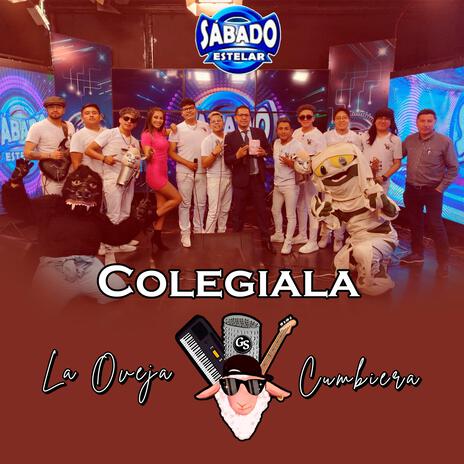 Colegiala (En vivo) ft. La Oveja Cumbiera | Boomplay Music