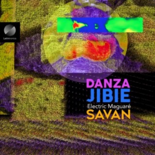 Danza Jibie