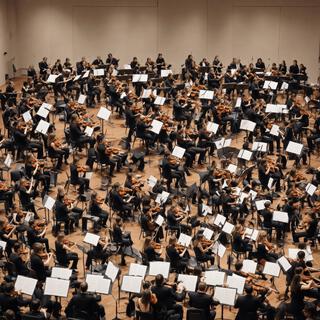 Orchestra