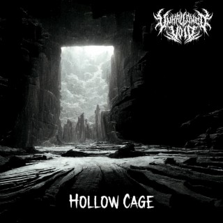 Hollow Cage