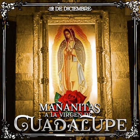 Buenos Dias Paloma Blanca (Canción de Mañanitas A La Virgen De Guadalupe)