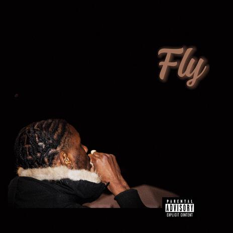 Fly | Boomplay Music