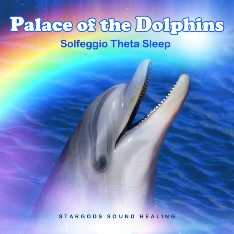 Dolphin Atlatesh the Miracle Worker 528Hz Sleep | Boomplay Music