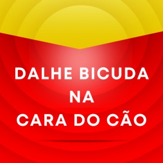 Dalhe Bicuda Na Cara Do Cão