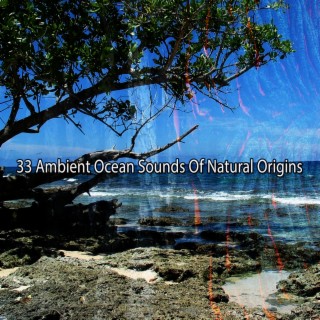 33 Sons ambiants de l'océan d'origine naturelle