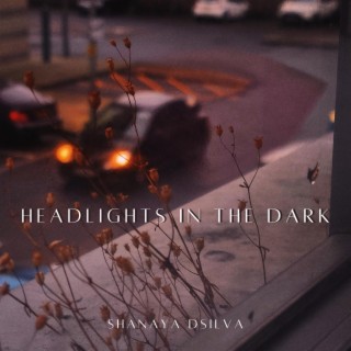 Headlights in the Dark lyrics | Boomplay Music