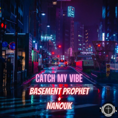 Catch my Vibe (Radio Edit) ft. Nanouk