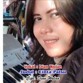 Cinta Palsu