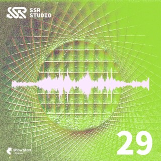 SSR Beats Vol.29