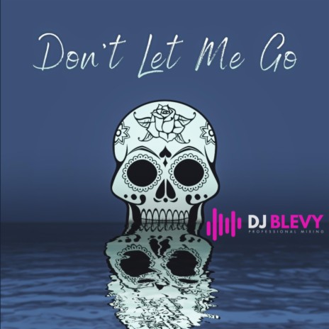 Don't Let Me Go (Radio Edit) | Boomplay Music