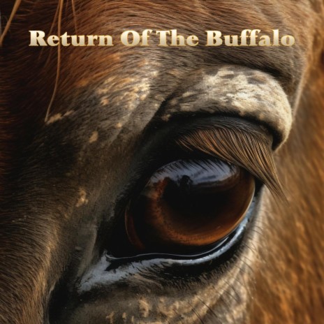 Return Of The Buffalo | Boomplay Music