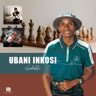 Ubani inkosi