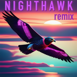 Nighthawk (Remix)