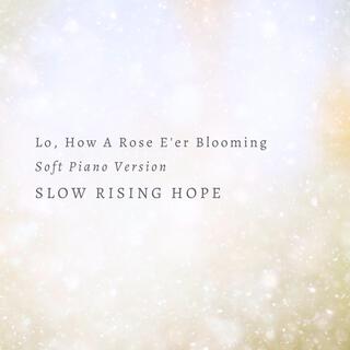 Lo, How A Rose E'er Blooming (Soft Piano)