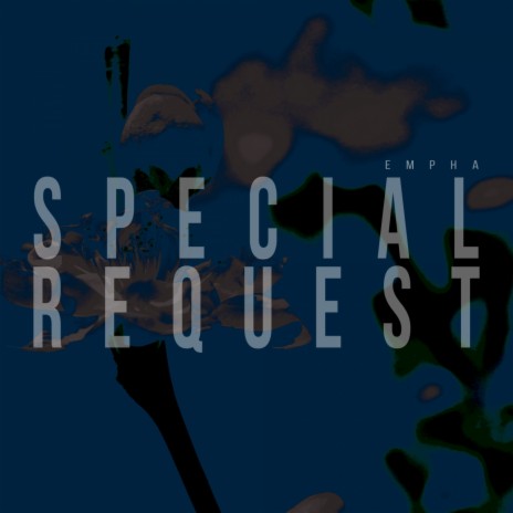 Special Request | Boomplay Music