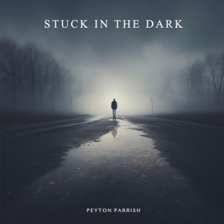 Stuck In The Dark