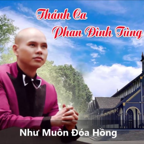 Như Muôn Đóa Hồng | Boomplay Music