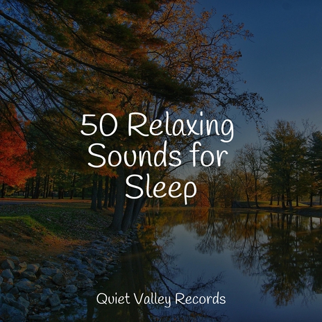 Sleep Well ft. Nature's Symphony & Relaxation Sleep Meditation | Boomplay Music