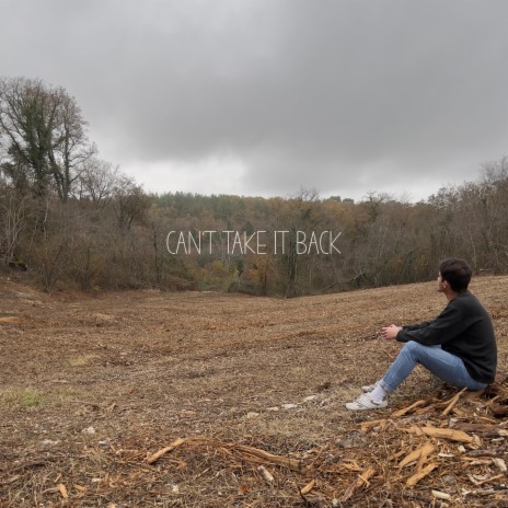 Can't Take It Back | Boomplay Music