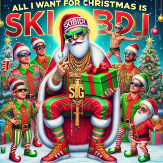 All I Want For Christmas Is Skibidi