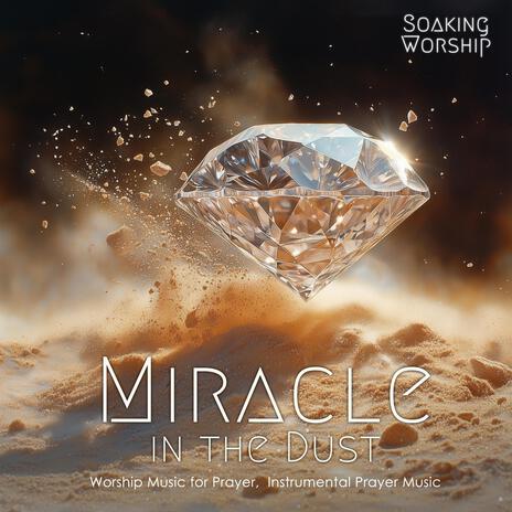 Miracle in the Dust | Boomplay Music