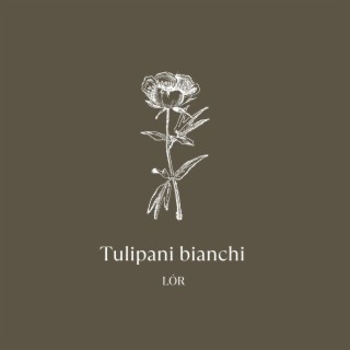 Tulipani Bianchi