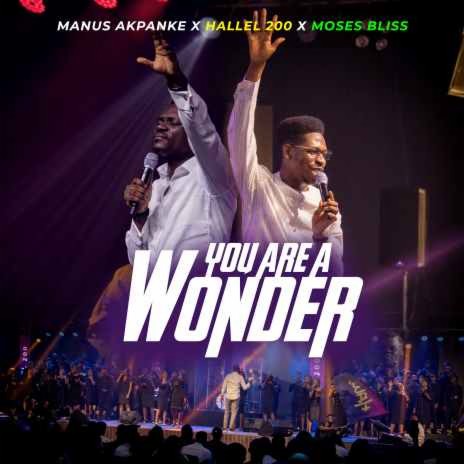 You Are A Wonder ft. Hallel 200 & Moses Bliss | Boomplay Music