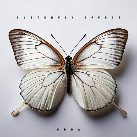 Butterfly Effect | Boomplay Music