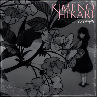 Kimi no Hikari