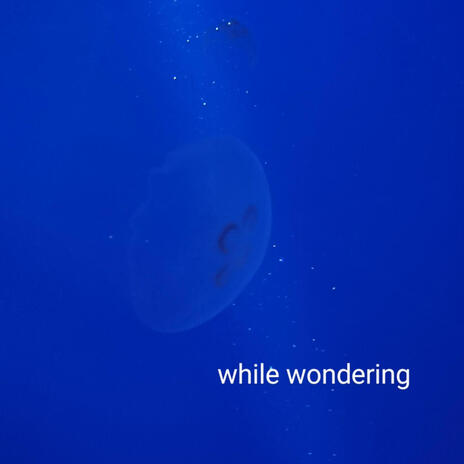 while wondering | Boomplay Music