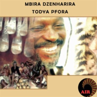 Mbira  Dzenharira