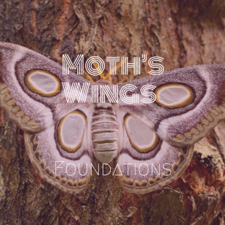 Moth Wings | Boomplay Music