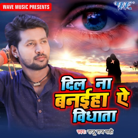 Dil Na Baniha Ae Vidhata | Boomplay Music