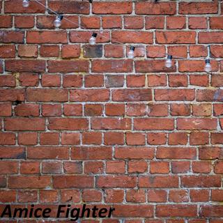 Amice Fighter