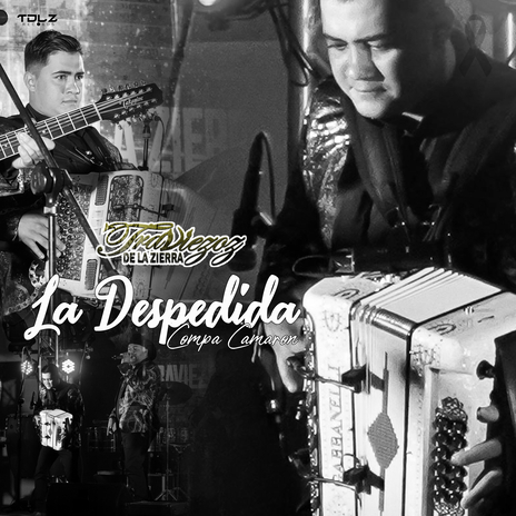 La Despedida Compa Camarón | Boomplay Music