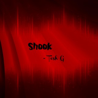 Shook lyrics | Boomplay Music