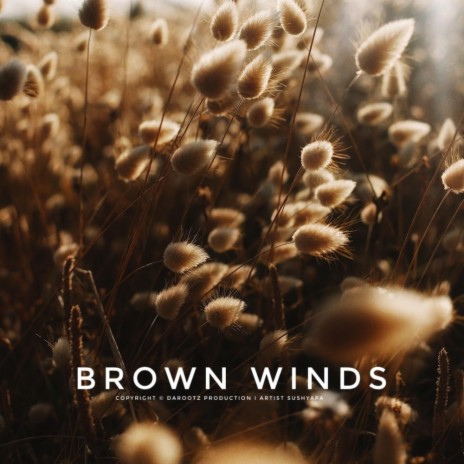 Brown winds | Boomplay Music